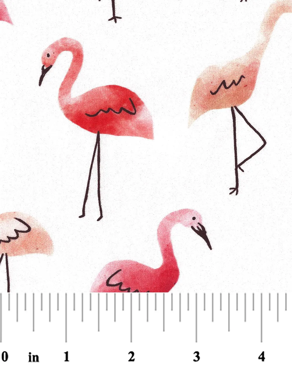 Flamingo Fun